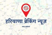 NFLSpice-News-Haryana