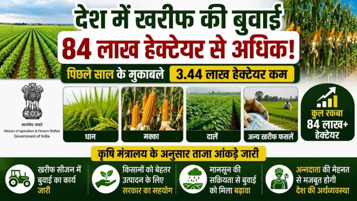 खरीफ फसलों की बुवाई 84 लाख हेक्टेयर के पार, पिछले साल के मुकाबले क्षेत्रफल में हल्की कमी